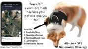 Realtime GPS Pet Locating System Portable Waterproof Mini GSM Tracker Size:M