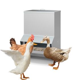 Outdoor Wall Mount Automatic Chicken Feeder for Farm