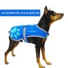 Blue Dog Reflective Vest XS Size Hi Vis Fluorescent Visibility Helping to Safeguard Your Pet On Off Leash in Urban & Rural Areas