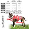 Blue Dog Reflective Vest XS Size Hi Vis Fluorescent Visibility Helping to Safeguard Your Pet On Off Leash in Urban & Rural Areas