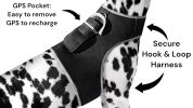 Low Cost Pet Tracking Device Rechargeable Waterproof GSM GPRS Tracker Size:XXL